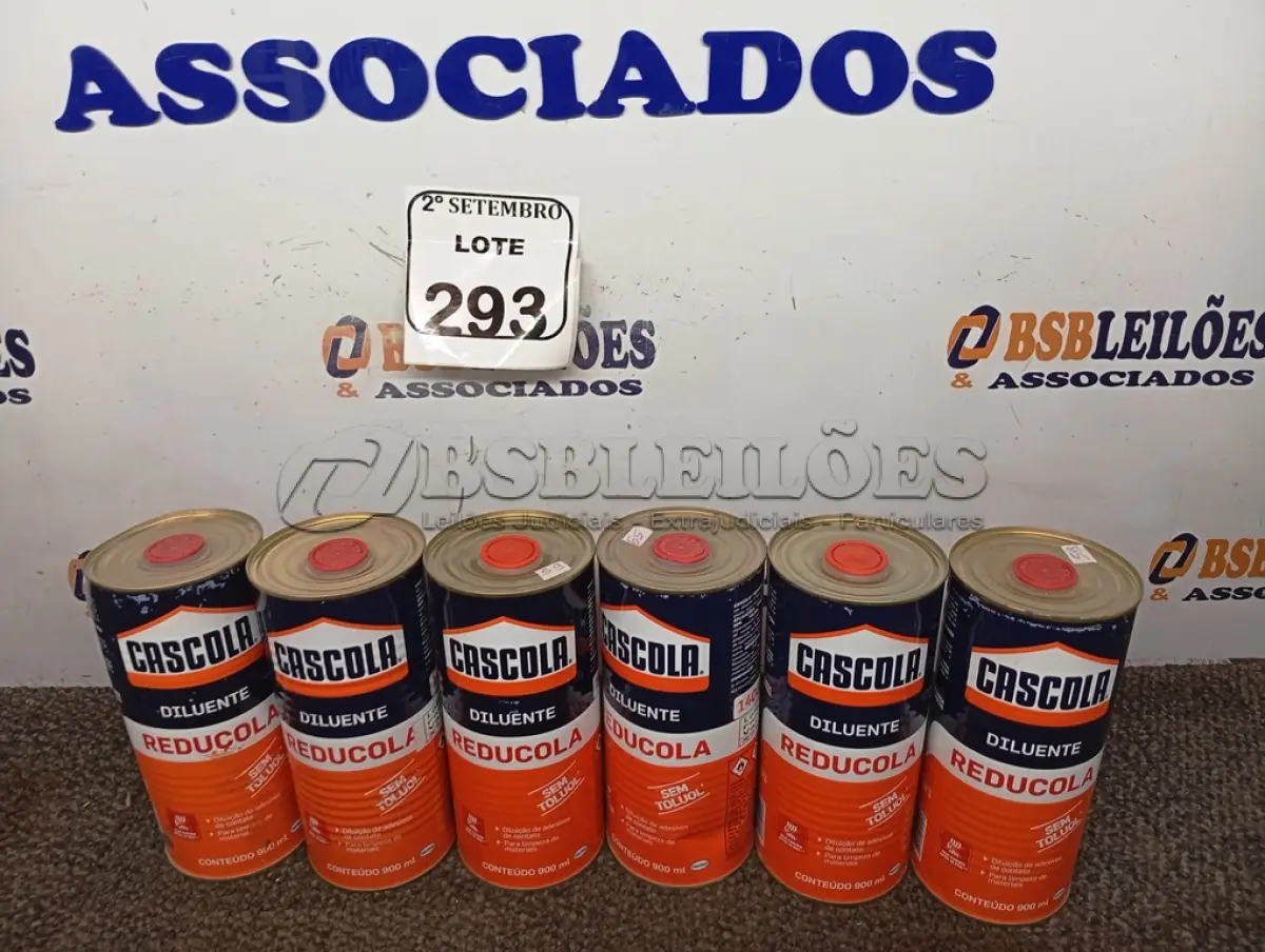 LOTE 293