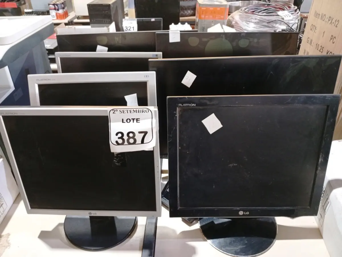 LOTE 387