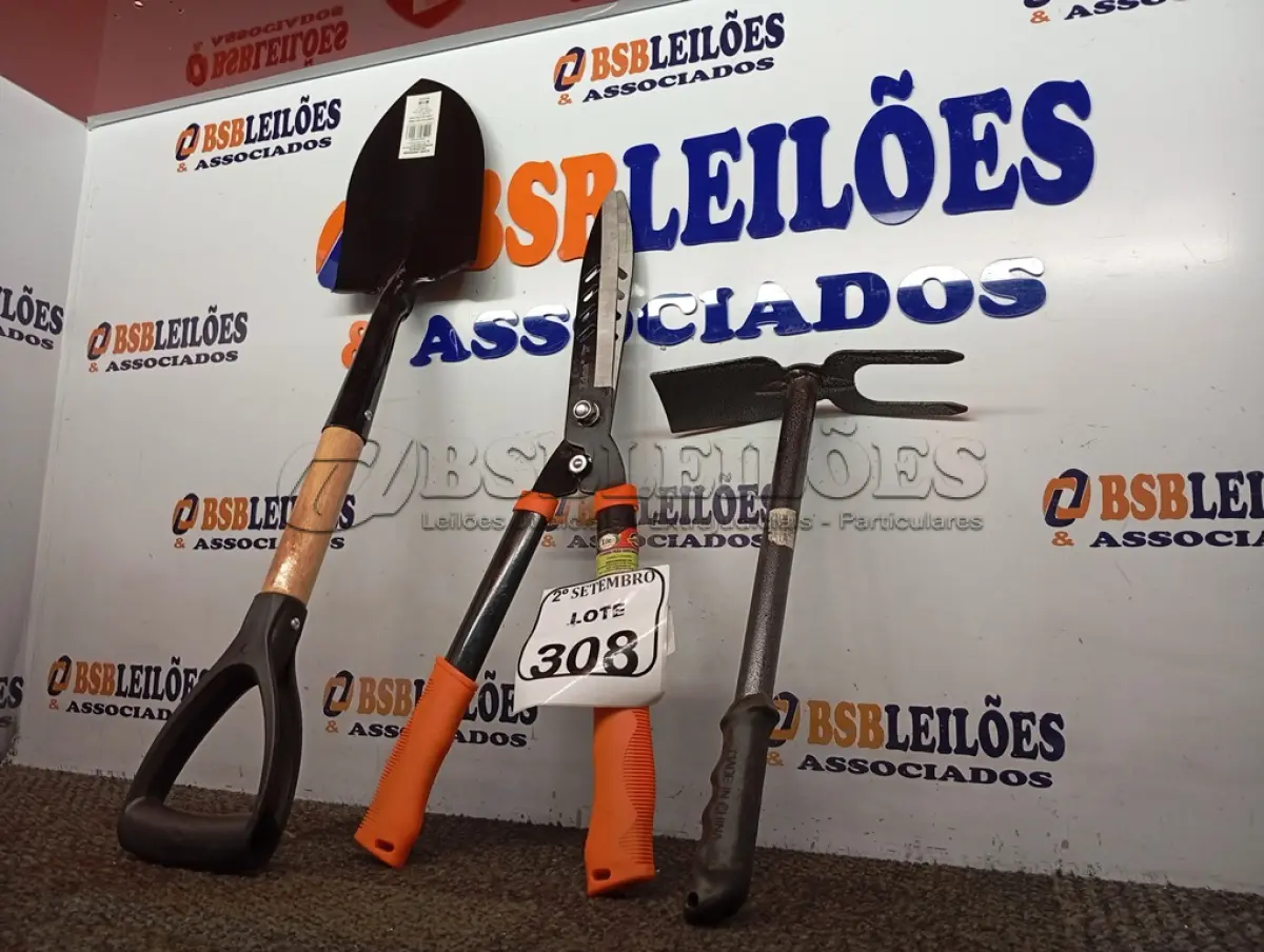 LOTE 308