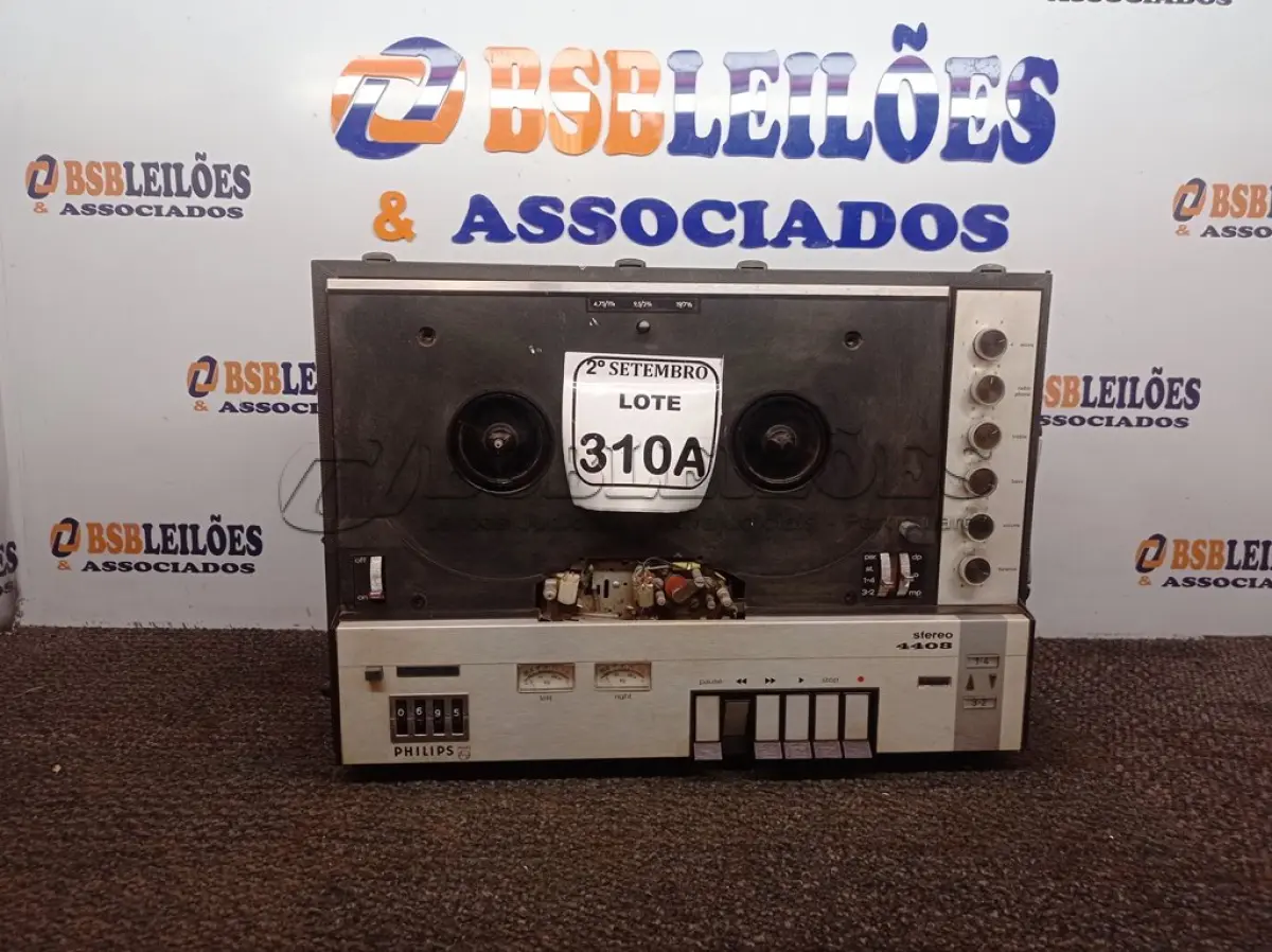 LOTE 310
