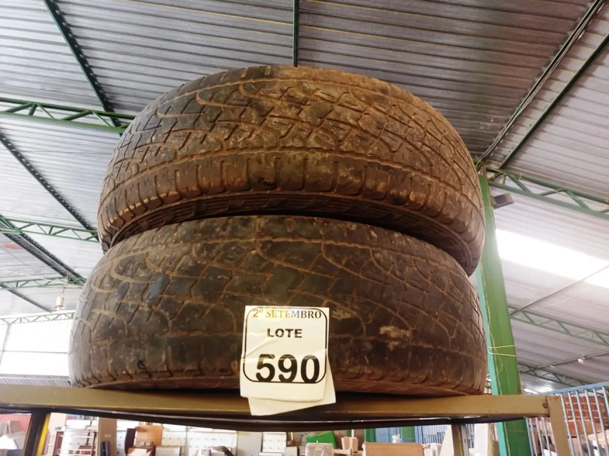 LOTE 590
