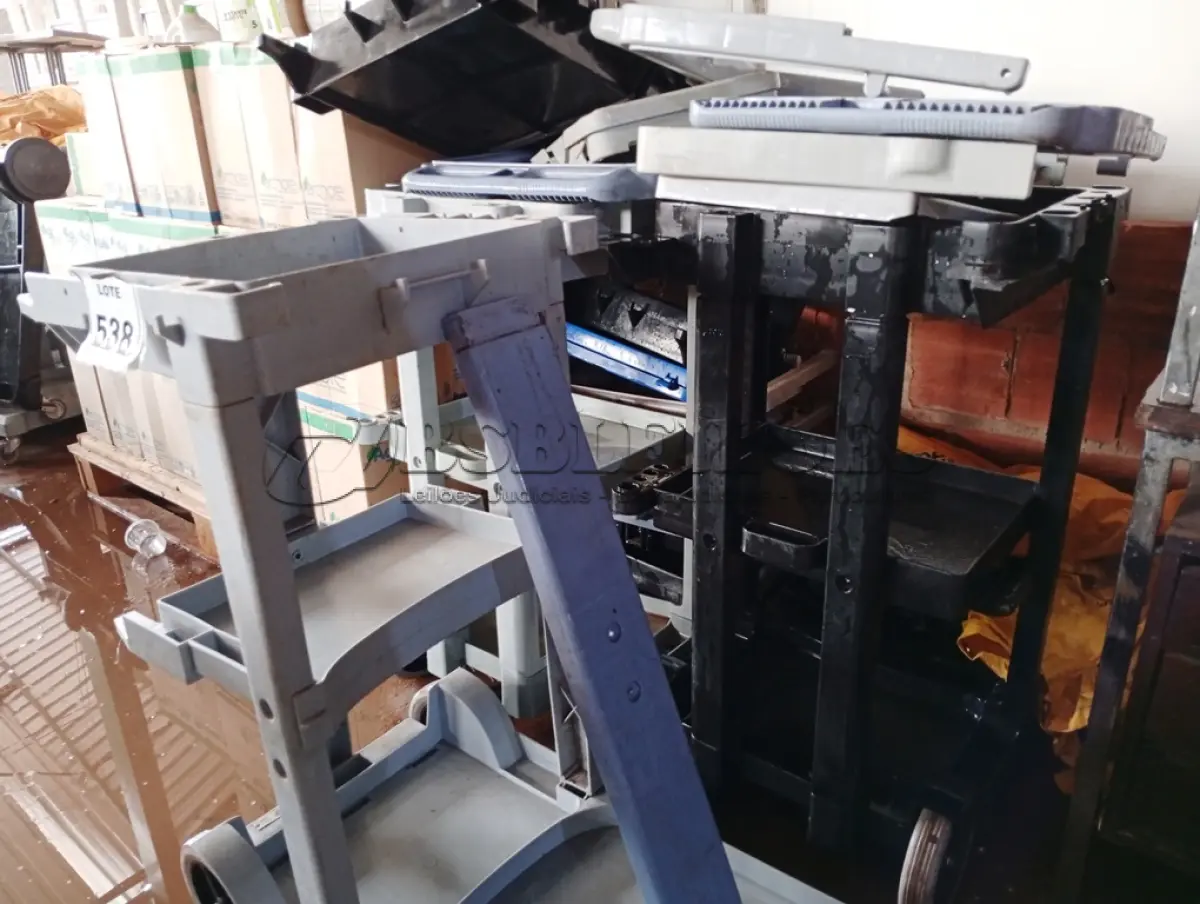 LOTE 538 - 03 CARRINHOS P/ LIMPEZA INCOMPLETOS. (NO ESTADO) ATENÇÃO! FAZER A VISITAÇÃO ANTES DE ARREMATAR, NÃO SABEMOS SE FUNCIONA. LEILÃO NÃO TEM GARANTIA E NEM DEVOLUÇÃO, SUJEITO A POSSÍVEIS AVARIAS VISÍVEIS/OCULTAS E/OU AUSÊNCIA DE COMPONENTES.