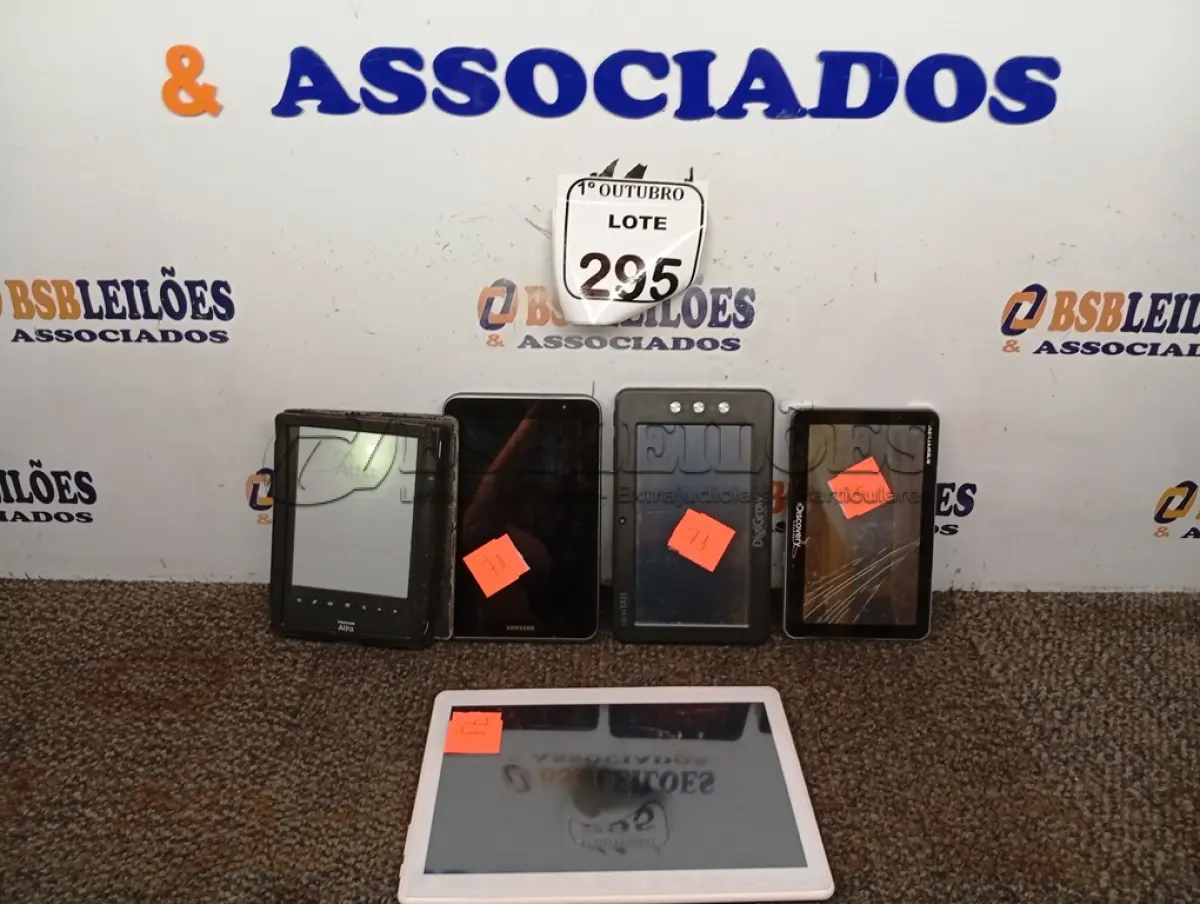 LOTE 295