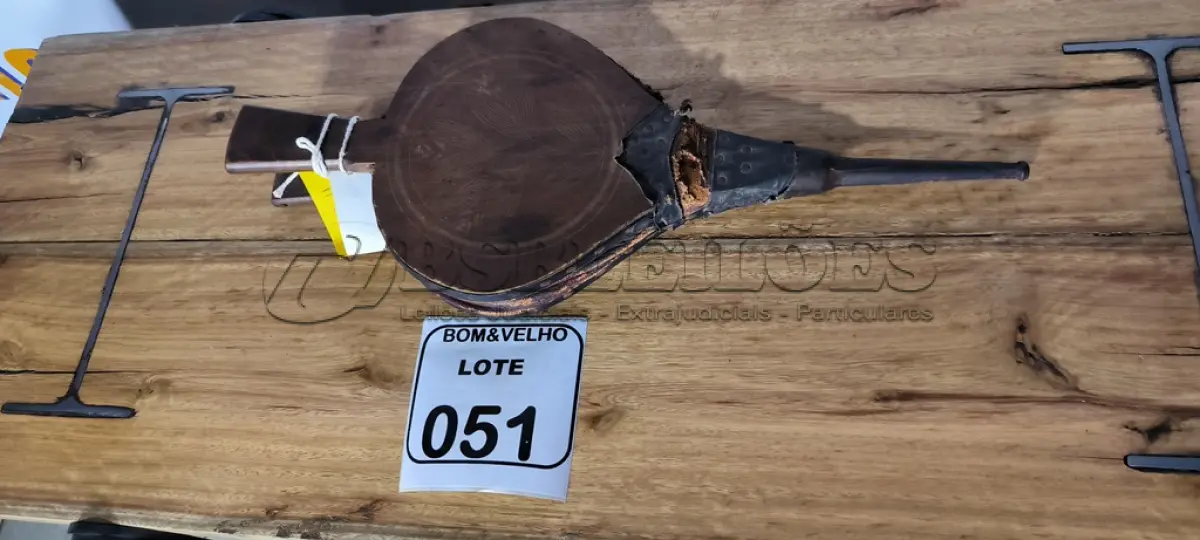 LOTE 051 - 01 FOLE. (NO ESTADO)