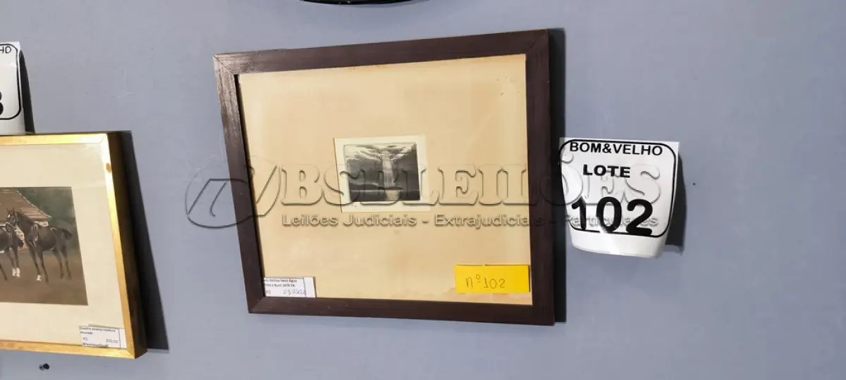 LOTE 102 - LUIS GALINA NETO ÁGUA FORTE. (NO ESTADO)