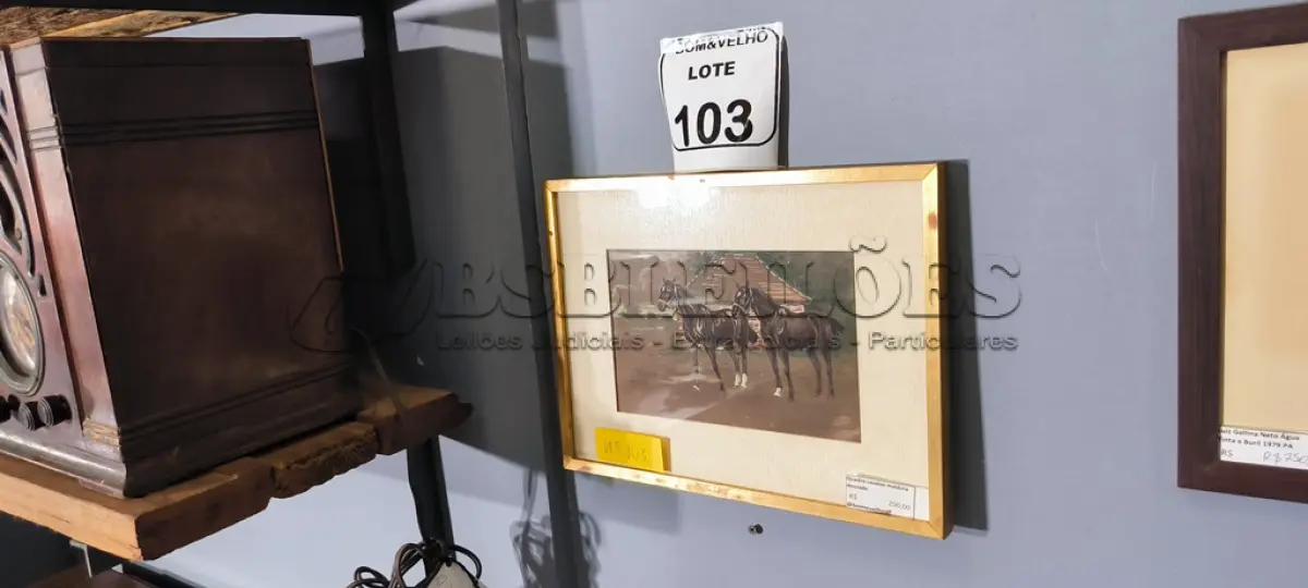 LOTE 103 - 01 CAVALO COM MOLDURA DOURADA. (NO ESTADO)