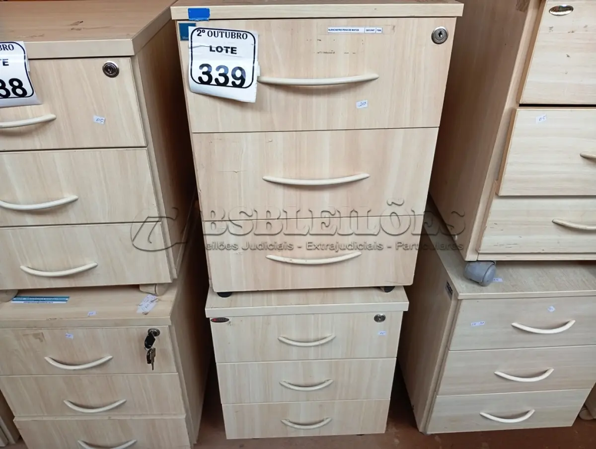 LOTE 339 - 02 GAVETEIROS COM 03 GAVETAS CADA. (NO ESTADO) ATENÇÃO! FAZER A VISITAÇÃO ANTES DE ARREMATAR, NÃO SABEMOS SE FUNCIONA. LEILÃO NÃO TEM GARANTIA E NEM DEVOLUÇÃO, SUJEITO A POSSÍVEIS AVARIAS VISÍVEIS/OCULTAS E/OU AUSÊNCIA DE COMPONENTES.
