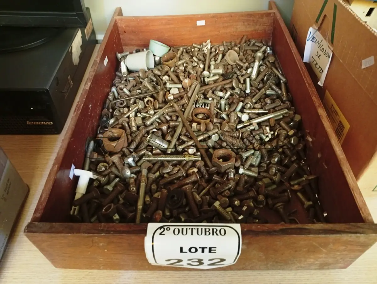 LOTE 232 - 01 LOTE COM GRANDE QUANTIDADE DE PARAFUSOS TAMANHOS DIVERSOS. (NO ESTADO) ATENÇÃO! FAZER A VISITAÇÃO ANTES DE ARREMATAR, NÃO SABEMOS SE FUNCIONA. LEILÃO NÃO TEM GARANTIA E NEM DEVOLUÇÃO, SUJEITO A POSSÍVEIS AVARIAS VISÍVEIS/OCULTAS E/OU AUSÊNCIA DE COMPONENTES.