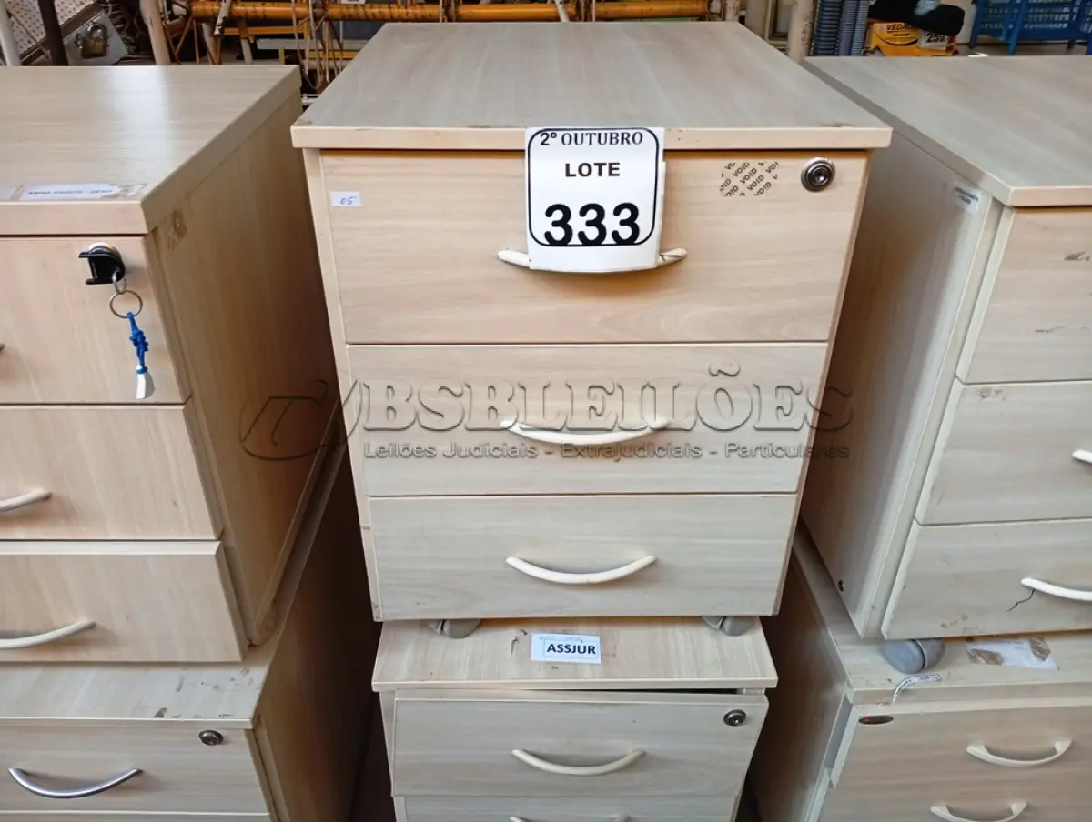 LOTE 333