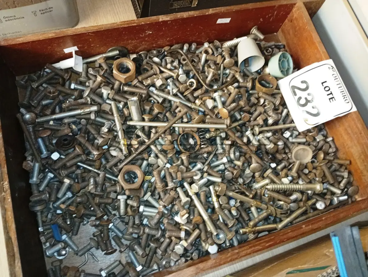 LOTE 232 - 01 LOTE COM GRANDE QUANTIDADE DE PARAFUSOS TAMANHOS DIVERSOS. (NO ESTADO) ATENÇÃO! FAZER A VISITAÇÃO ANTES DE ARREMATAR, NÃO SABEMOS SE FUNCIONA. LEILÃO NÃO TEM GARANTIA E NEM DEVOLUÇÃO, SUJEITO A POSSÍVEIS AVARIAS VISÍVEIS/OCULTAS E/OU AUSÊNCIA DE COMPONENTES.