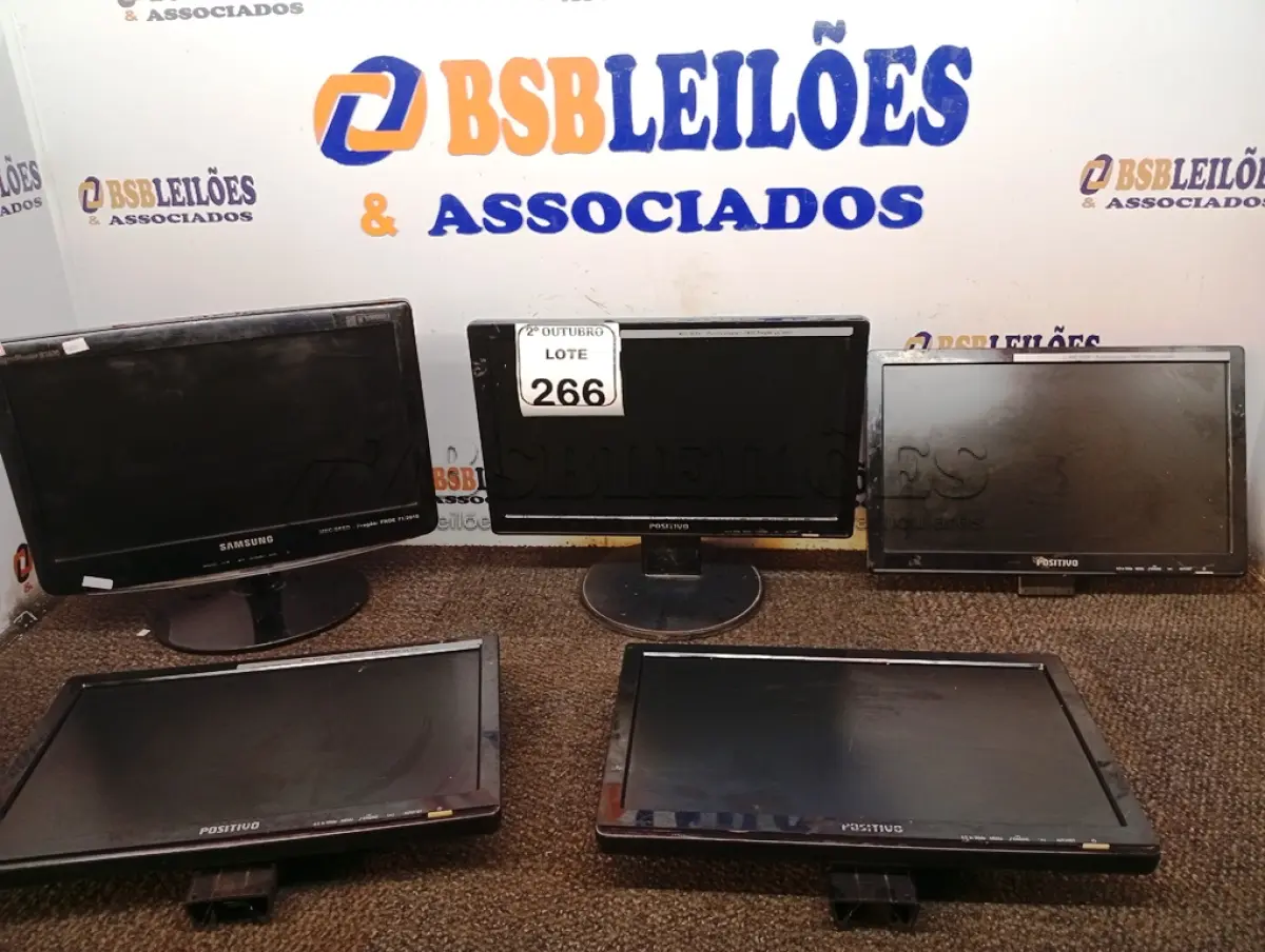 LOTE 266