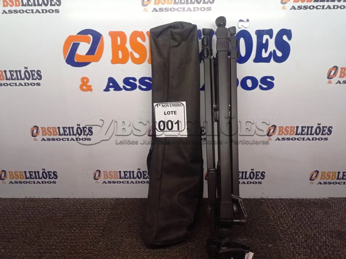 LOTE 001