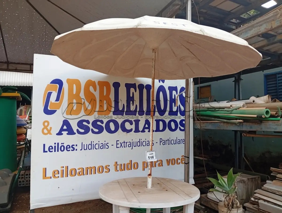 LOTE 516