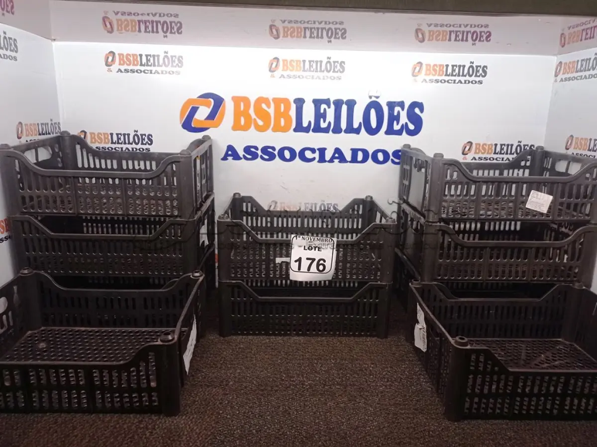 LOTE 176
