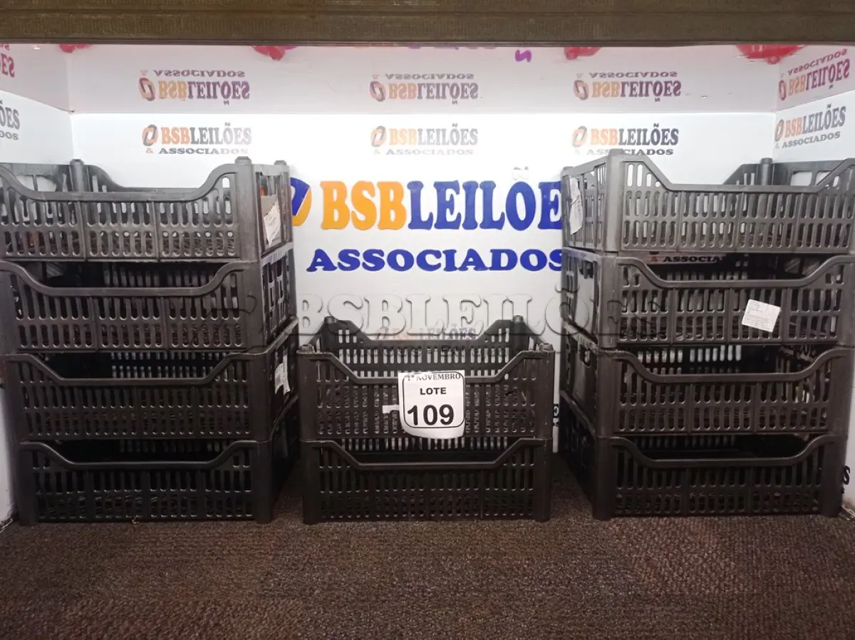 LOTE 109