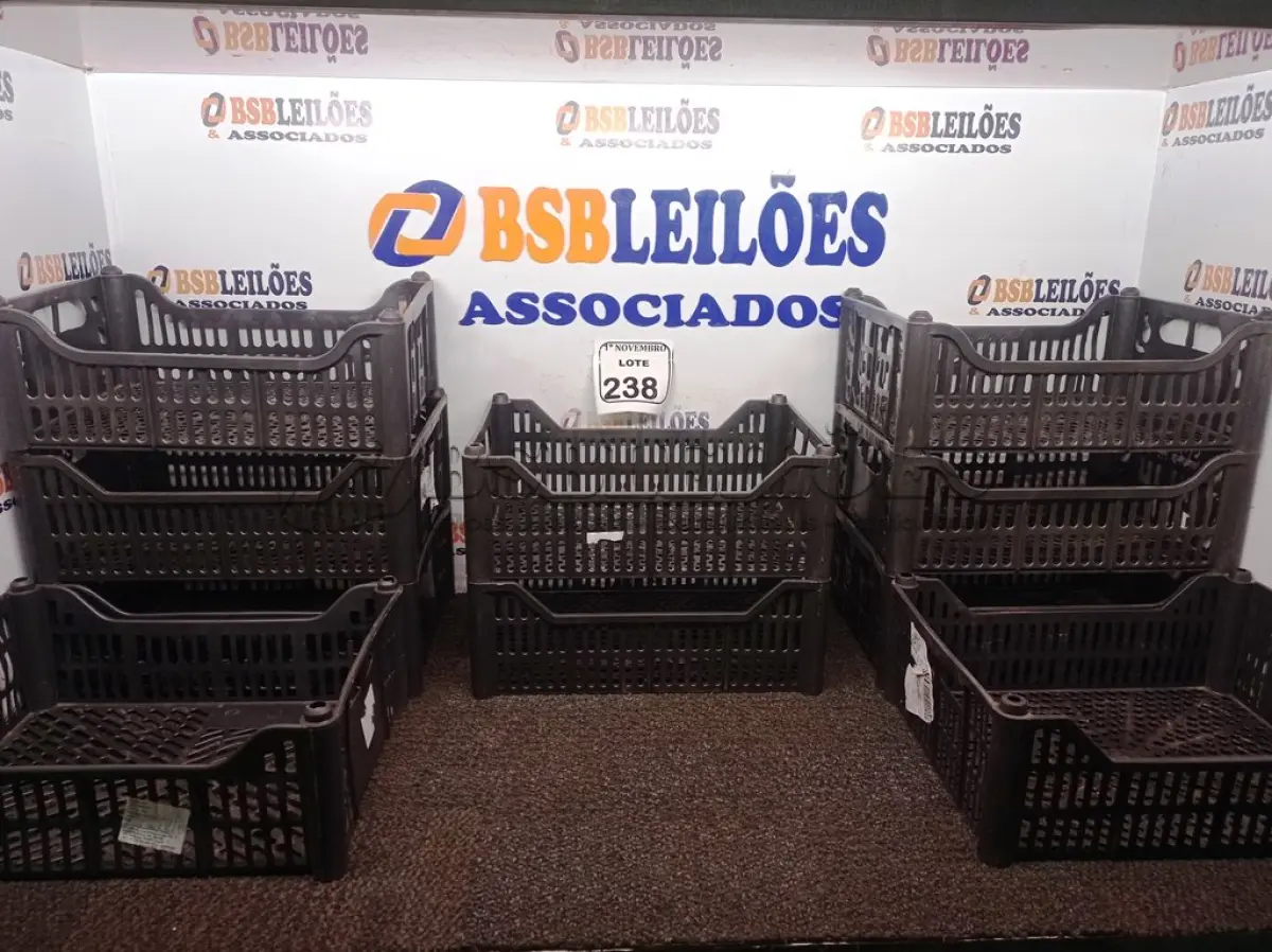 LOTE 238 - 10 CESTAS ORGANIZADORAS NA COR PRETA. (NO ESTADO) ATENÇÃO! FAZER A VISITAÇÃO ANTES DE ARREMATAR, NÃO SABEMOS SE FUNCIONA. LEILÃO NÃO TEM GARANTIA E NEM DEVOLUÇÃO, SUJEITO A POSSÍVEIS AVARIAS VISÍVEIS/OCULTAS E/OU AUSÊNCIA DE COMPONENTES.