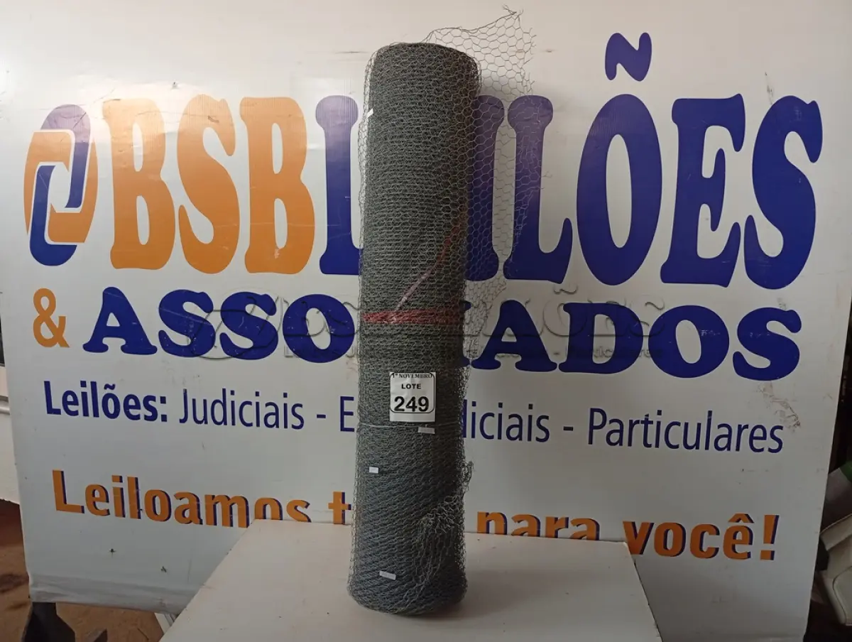 LOTE 249