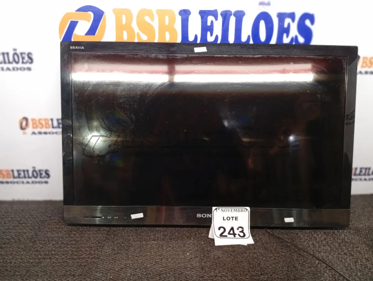 LOTE 243