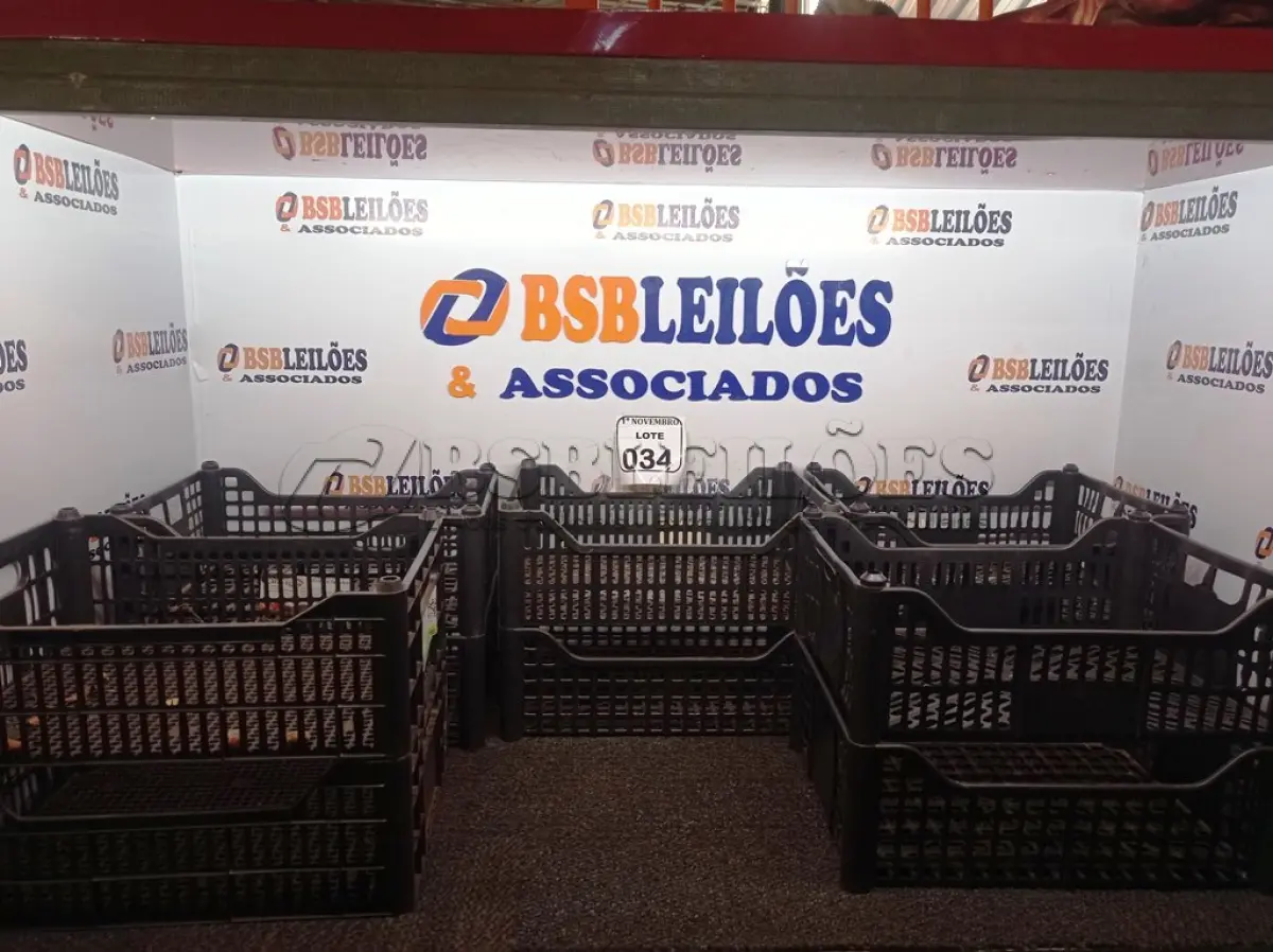 LOTE 034 - 10 CESTAS ORGANIZADORAS NA COR PRETA. (NO ESTADO) ATENÇÃO! FAZER A VISITAÇÃO ANTES DE ARREMATAR, NÃO SABEMOS SE FUNCIONA. LEILÃO NÃO TEM GARANTIA E NEM DEVOLUÇÃO, SUJEITO A POSSÍVEIS AVARIAS VISÍVEIS/OCULTAS E/OU AUSÊNCIA DE COMPONENTES.