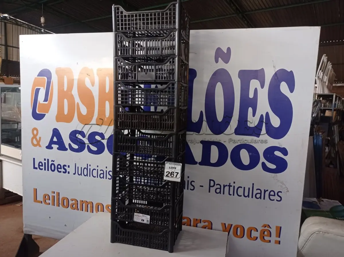 LOTE 267