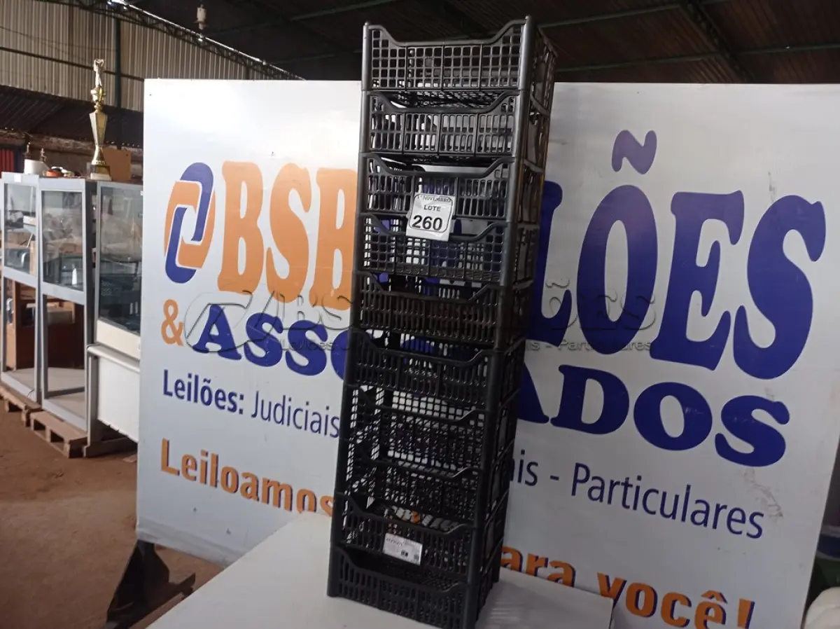 LOTE 260