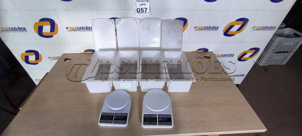 LOTE 057 - 04 CAIXAS ORGANIZADORAS PEQUENAS EM PLÁSTICO. (NO ESTADO) ATENÇÃO! FAZER A VISITAÇÃO ANTES DE ARREMATAR, NÃO SABEMOS SE FUNCIONA. LEILÃO NÃO TEM GARANTIA E NEM DEVOLUÇÃO, SUJEITO A POSSÍVEIS AVARIAS VISÍVEIS/OCULTAS E/OU AUSÊNCIA DE COMPONENTES.