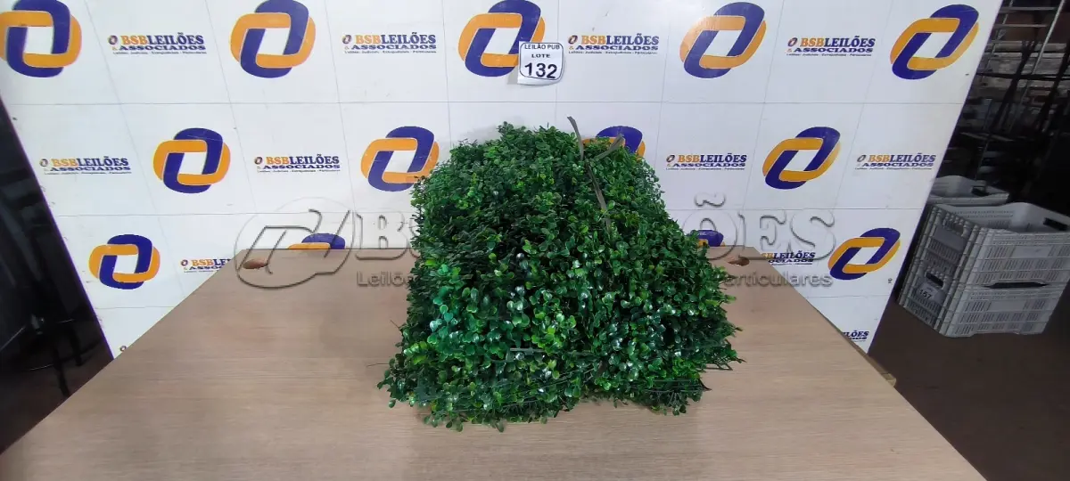 LOTE 132 - 01 LOTE C/PLANTAS ARTIFICIAIS. (NO ESTADO) ATENÇÃO! FAZER A VISITAÇÃO ANTES DE ARREMATAR, NÃO SABEMOS SE FUNCIONA. LEILÃO NÃO TEM GARANTIA E NEM DEVOLUÇÃO, SUJEITO A POSSÍVEIS AVARIAS VISÍVEIS/OCULTAS E/OU AUSÊNCIA DE COMPONENTES.