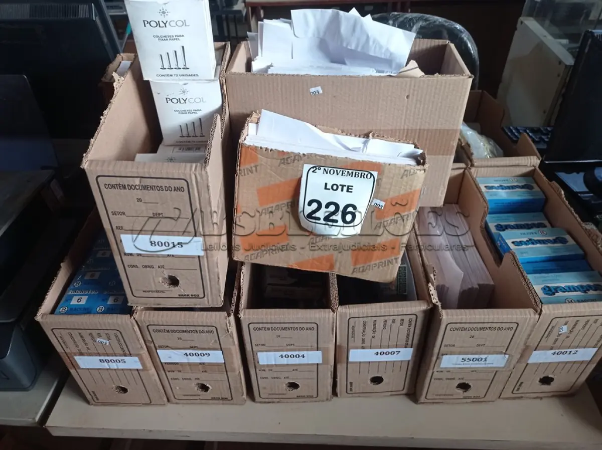 LOTE 226
