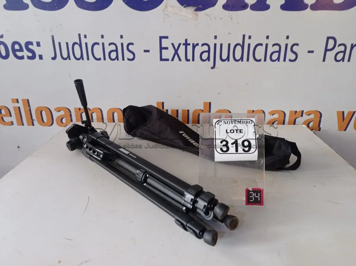 LOTE 319