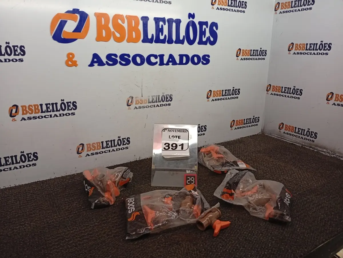 LOTE 391