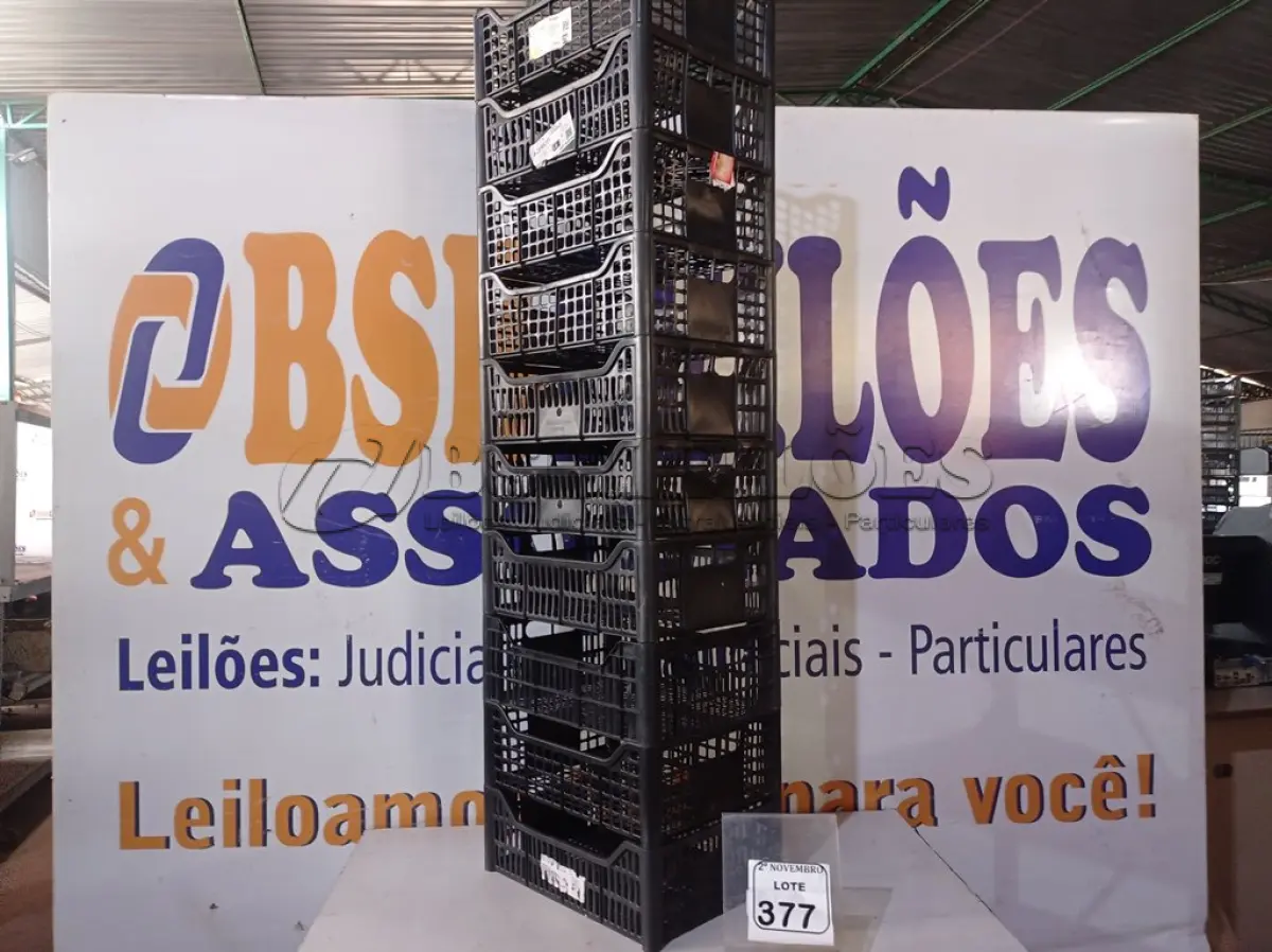 LOTE 377