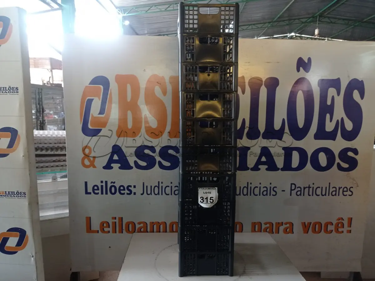 LOTE 315 - 10 CESTAS ORGANIZADORAS. (NO ESTADO) ATENÇÃO! FAZER A VISITAÇÃO ANTES DE ARREMATAR, NÃO SABEMOS SE FUNCIONA. LEILÃO NÃO TEM GARANTIA E NEM DEVOLUÇÃO, SUJEITO A POSSÍVEIS AVARIAS VISÍVEIS/OCULTAS E/OU AUSÊNCIA DE COMPONENTES.