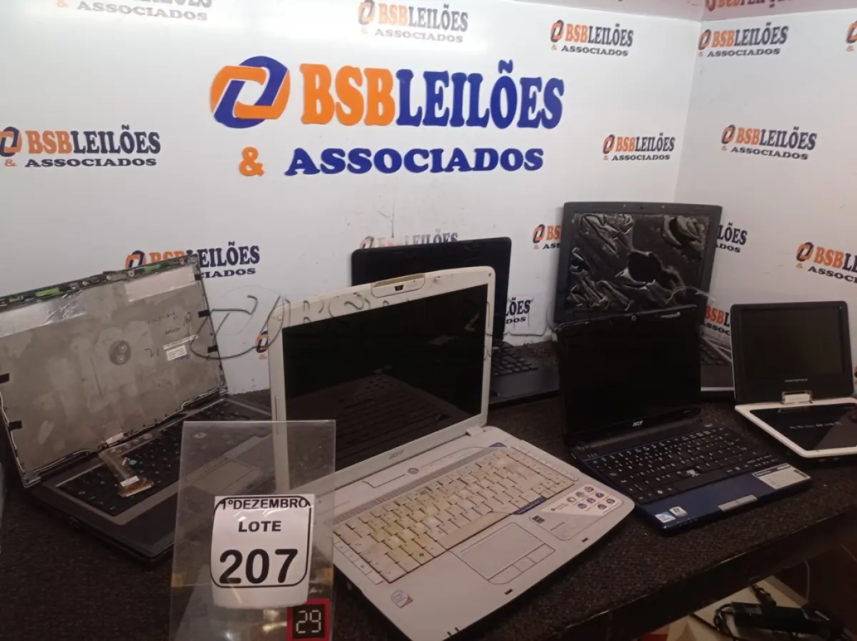 LOTE 207