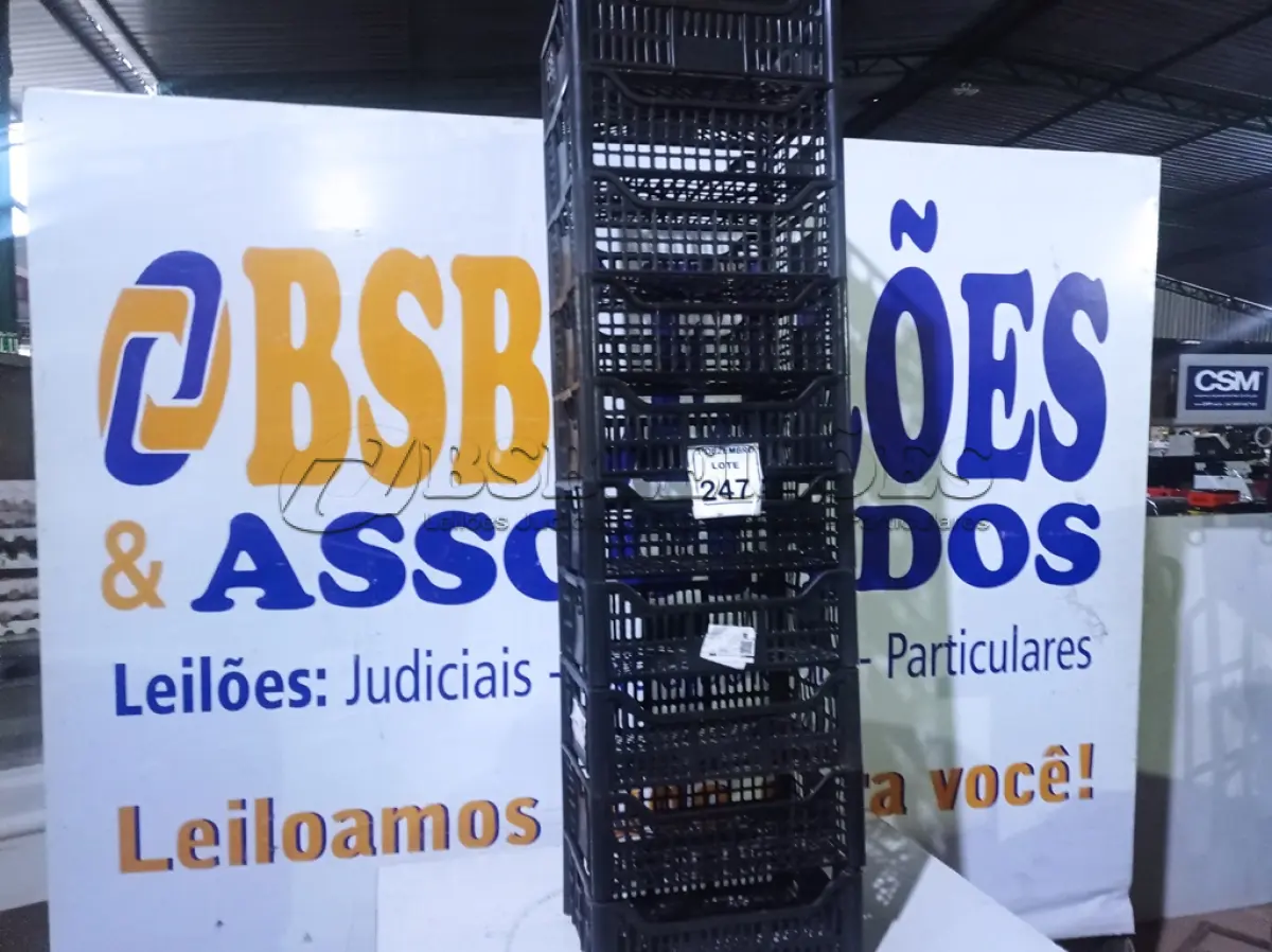 LOTE 247