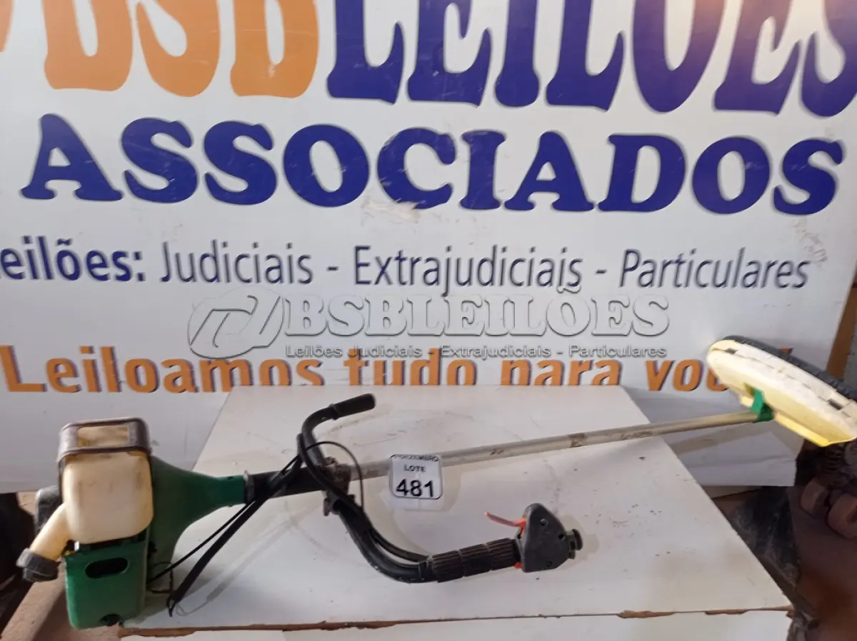 LOTE 481