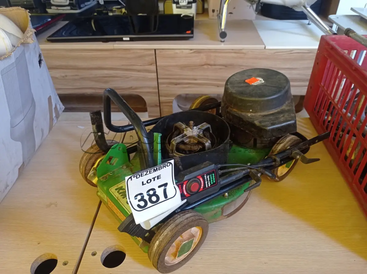 LOTE 387