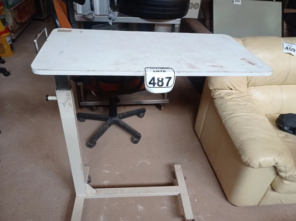 LOTE 487