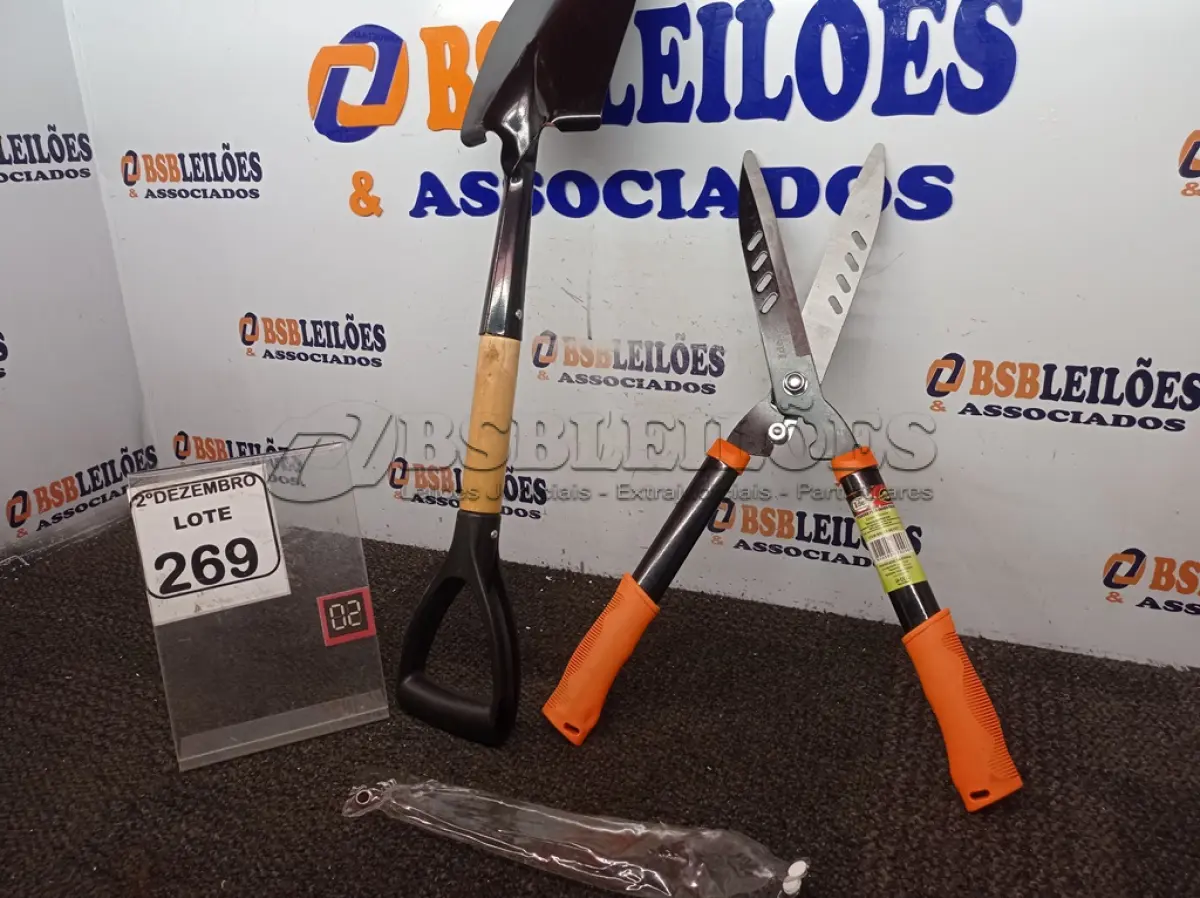 LOTE 269