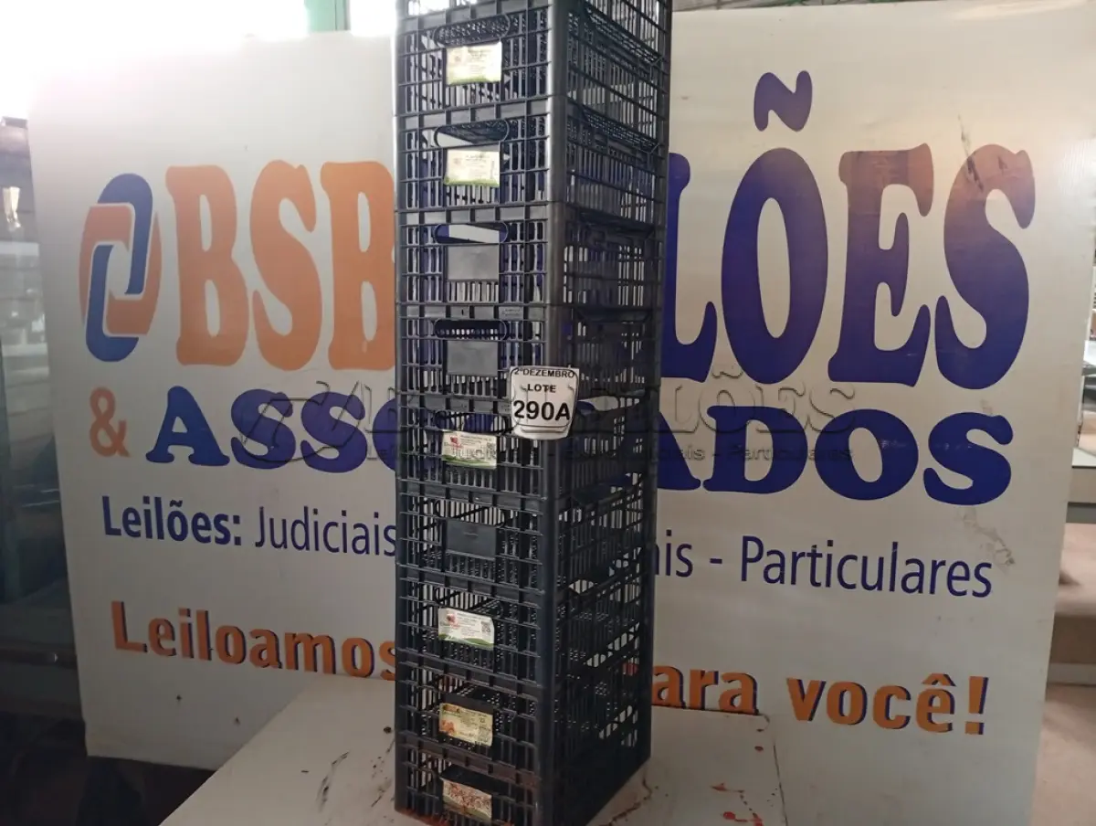 LOTE 290 - 10 CESTAS ORGANIZADORAS. (NO ESTADO) ATENÇÃO! FAZER A VISITAÇÃO ANTES DE ARREMATAR, NÃO SABEMOS SE FUNCIONA. LEILÃO NÃO TEM GARANTIA E NEM DEVOLUÇÃO, SUJEITO A POSSÍVEIS AVARIAS VISÍVEIS/OCULTAS E/OU AUSÊNCIA DE COMPONENTES.