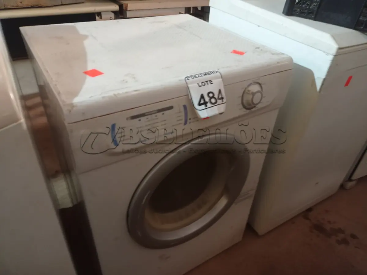 LOTE 484