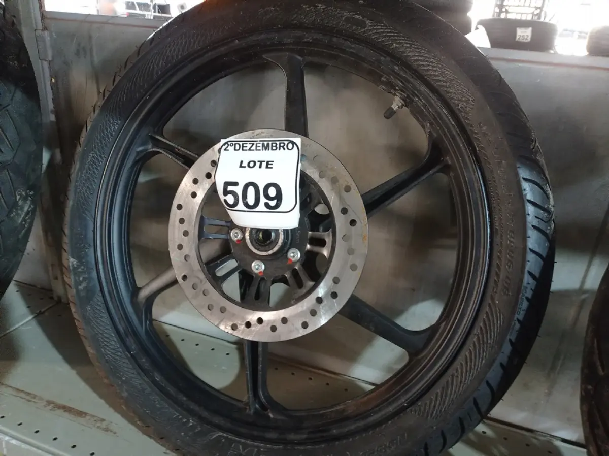 LOTE 509