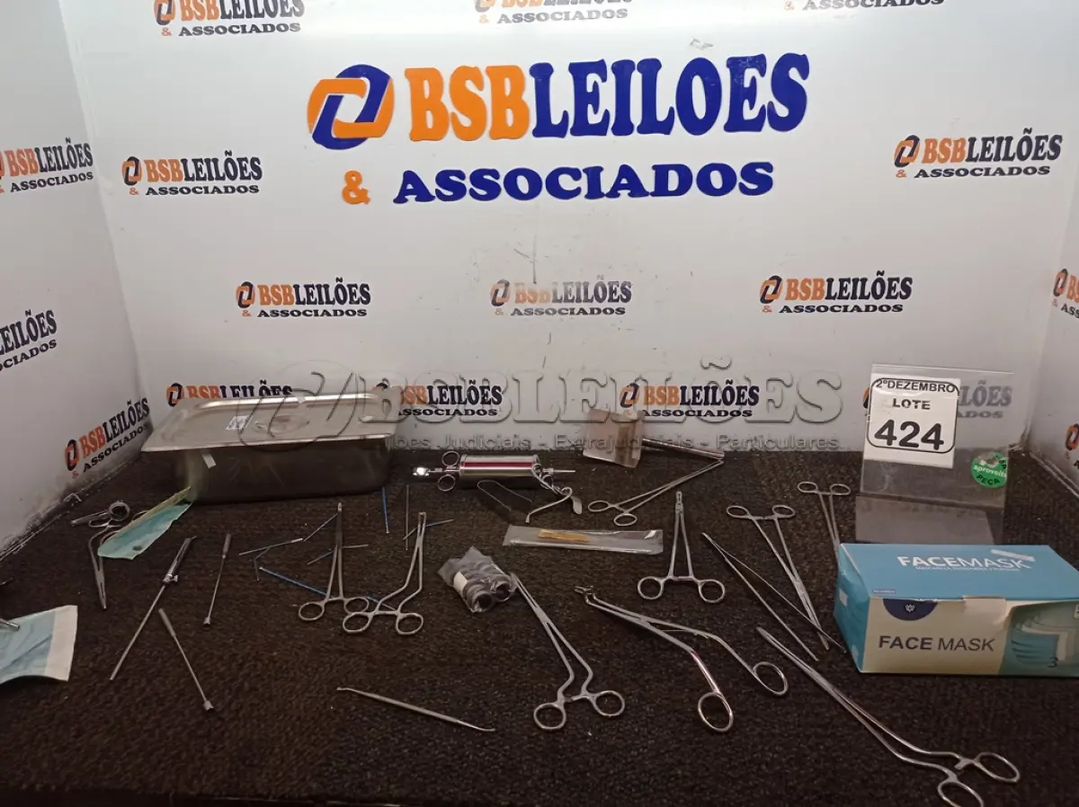 LOTE 424