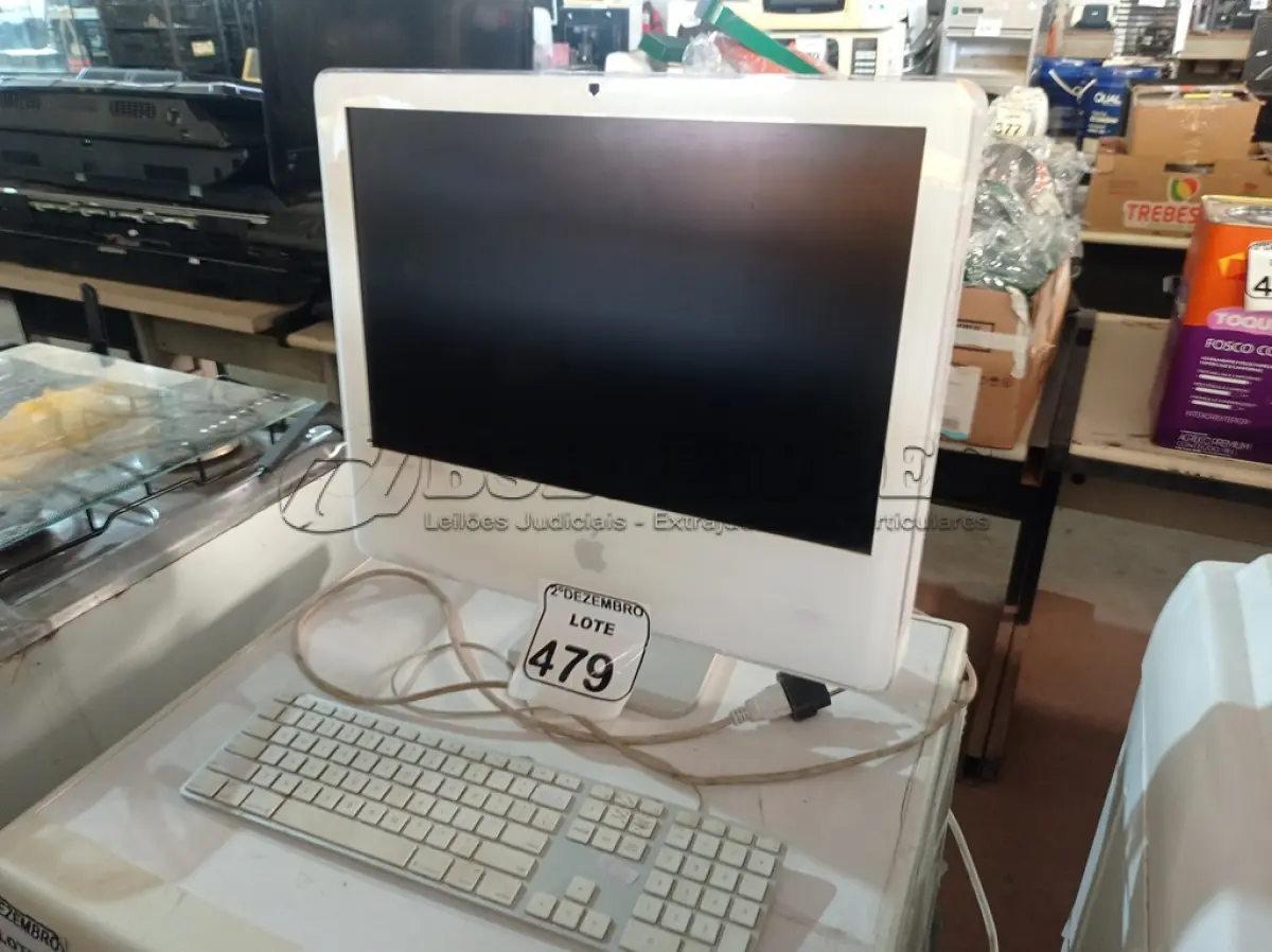 LOTE 479
