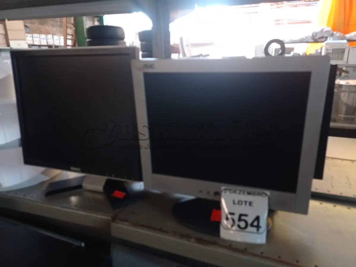LOTE 554