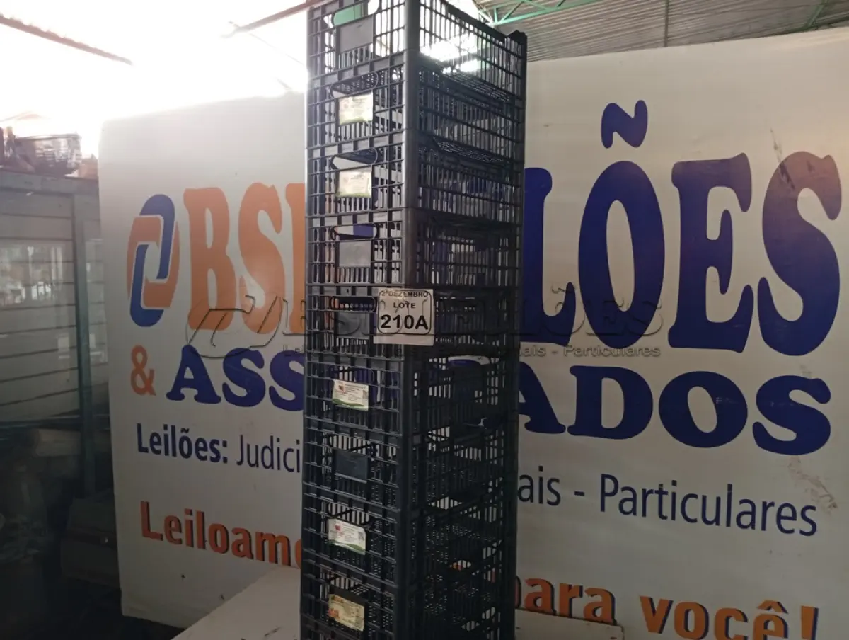 LOTE 210
