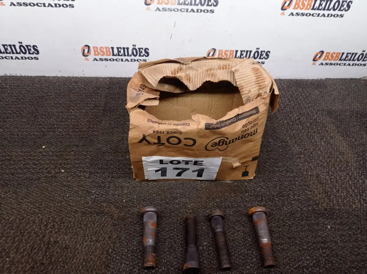 LOTE 171