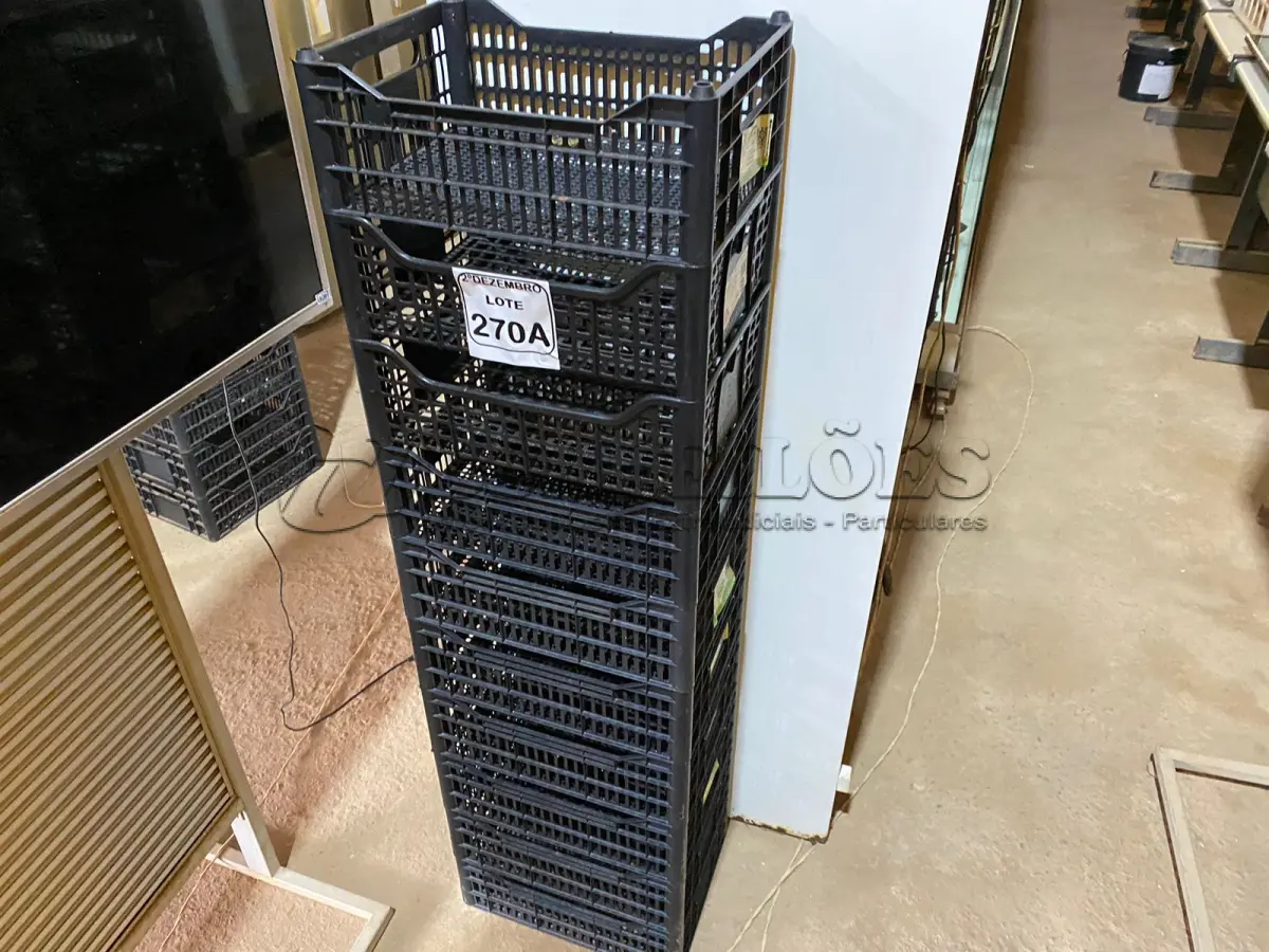 LOTE 270