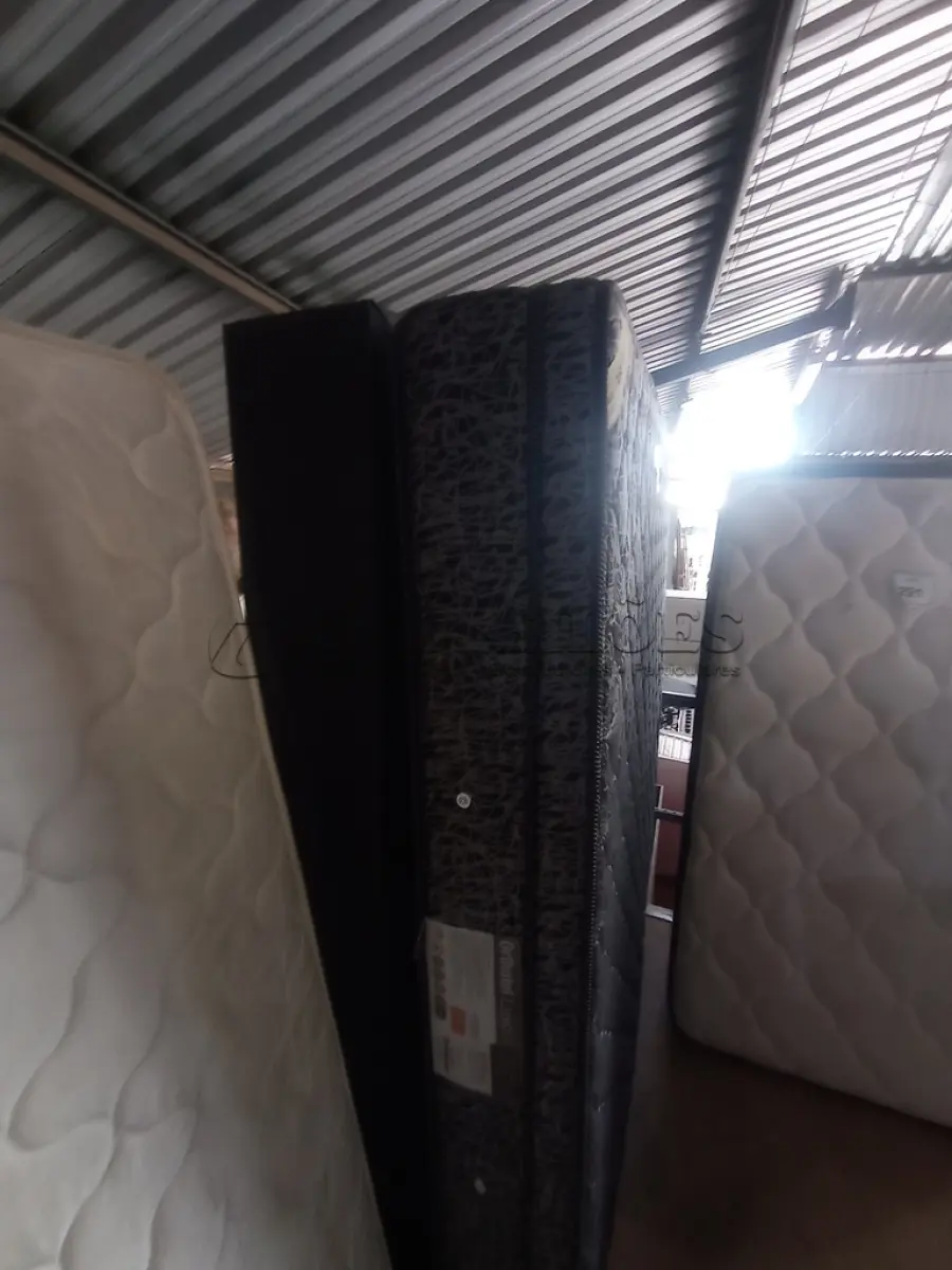 LOTE 290