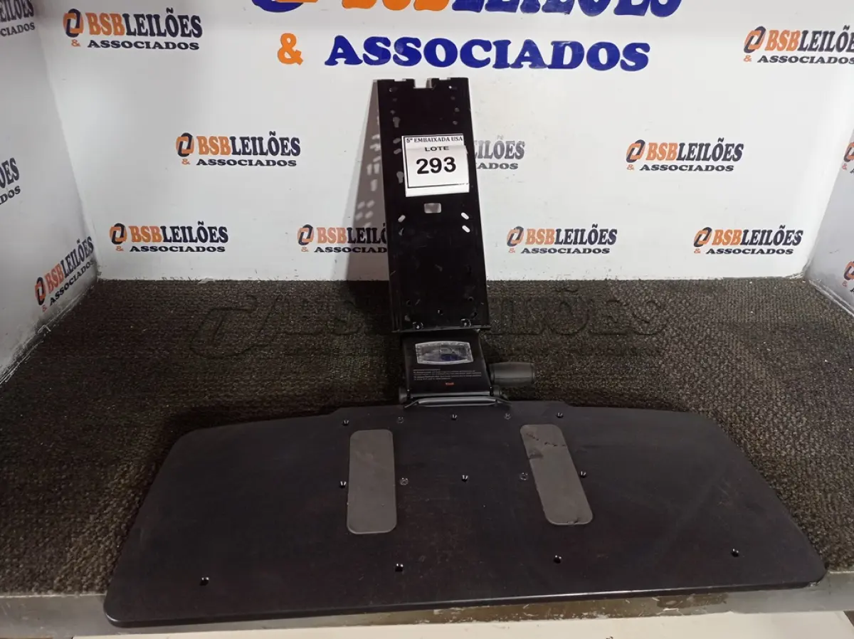 LOTE 293