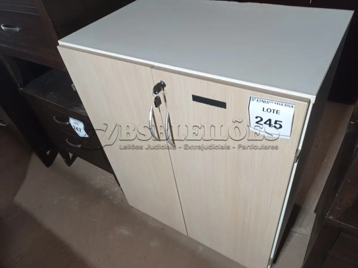 LOTE 245 - 01 GAVETEIRO (DRAWER). (NO ESTADO EM QUE SE ENCONTRA. SUJEITO A AVARIAS OCULTAS/VISÍVEIS.) AV2122H